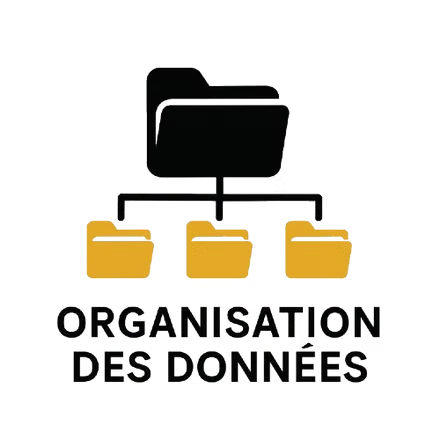 organisation_des_données- organisation_des_données-